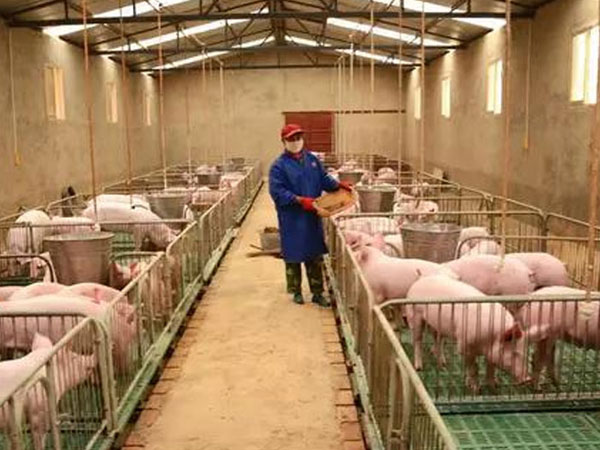 �����r���Bֳ���i�F��
